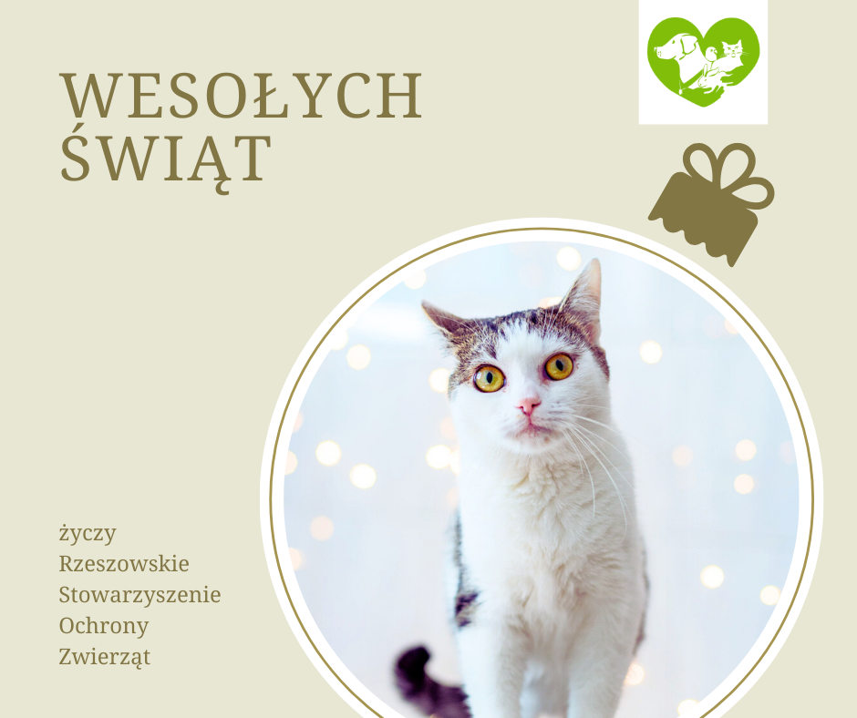 Wesołych Świąt